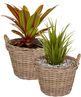 Mega Collections Planten/bloemen mand Levi - 2x - rotan - naturel - D25 x H18 cm - plantenpot voor buiten