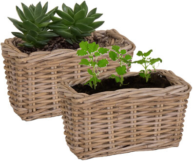 Mega Collections Planten/bloemen mand Levi - 2x - rotan - naturel - rechthoekig - 30 x 15 x 17 cm - plantenbak buiten