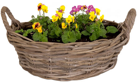 Mega Collections Planten/bloemen mand Levi - rotan - laag model - D40 x H13 cm - plantenpot voor buiten