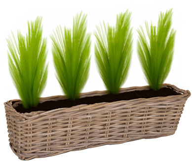 Mega Collections Planten/bloemen mand Levi - rotan - naturel - 60 x 15 x 17 cm - plantenpot voor buiten - Plantenpotten Crème