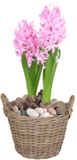 Mega Collections Planten/bloemen mand Levi - rotan - naturel - D20 x H16 cm - plantenpot voor buiten