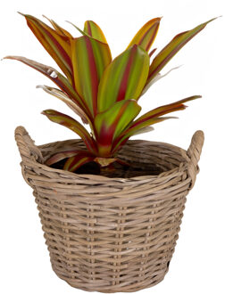 Mega Collections Planten/bloemen mand Levi - rotan - naturel - D25 x H18 cm - plantenpot voor buiten