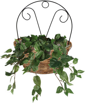 Mega Collections Planten/bloemen mand muurhanger Cuba - rotan - lichtbruin - 32 x 20 x 40 cm - plantenpot voor buite