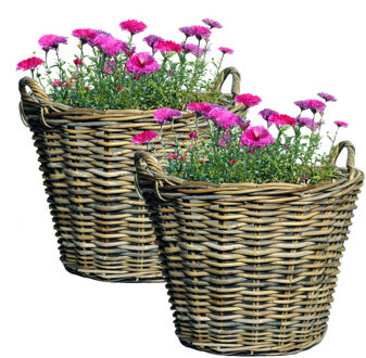 Mega Collections Planten of bloemen mand - 2x - D39 x H23 cm - rond - rotan gevlochten - bloempot