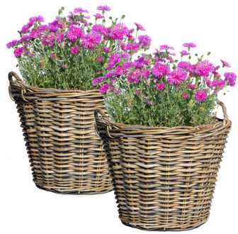 Mega Collections Planten of bloemen mand - 2x - D42 x H31 cm - rond - rotan gevlochten - bloempot