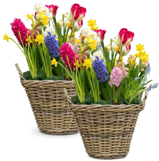 Mega Collections Planten of bloemen mand - 2x - D50 x H40 cm - rond - rotan gevlochten - bloempot