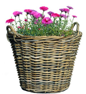 Mega Collections Planten of bloemen mand - D39 x H23 cm - rond - rotan gevlochten - bloempot