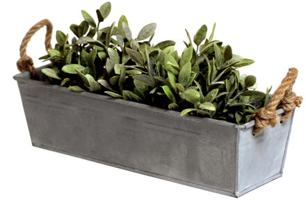 Mega Collections plantenbak Farmer - balkon/terras - zink - zilver - L44 x D15 X H13 cm