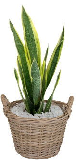 Mega Collections Plantenmand Levi - rotan - naturel - D30 x H23 cm