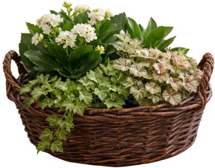 Mega Collections plantenmand Santa Fe - D29 x H13 cm - incl handgreep - rotan