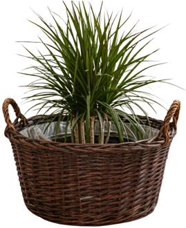 Mega Collections plantenmand Santa Fe - D35 x H24 cm - incl handgreep - rotan