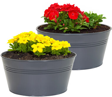 Mega Collections Plantenpot/bloempot Bob - 2x - rond - zink - antraciet - D25 X H12 cm