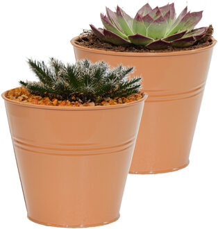 Mega Collections Plantenpot/bloempot Bob - 2x - rond - zink - terra - D15 X H13 cm