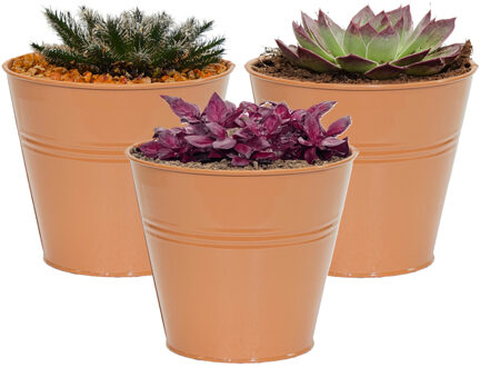 Mega Collections Plantenpot/bloempot Bob - 3x - rond - zink - terra - D11 X H10 cm