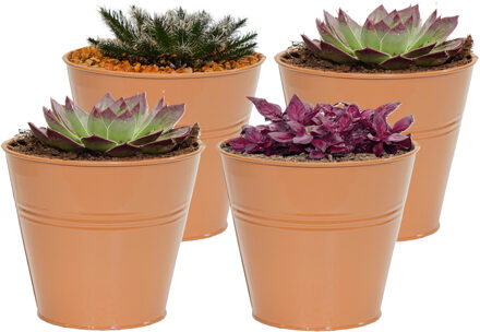 Mega Collections Plantenpot/bloempot Bob - 4x - rond - zink - terra - D11 X H10 cm