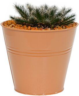 Mega Collections Plantenpot/bloempot Bob - rond - zink - terra - D11 X H10 cm