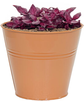 Mega Collections Plantenpot/bloempot Bob - rond - zink - terra - D13 X H12 cm
