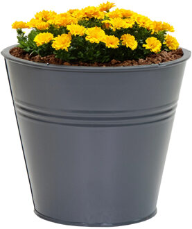 Mega Collections plantenpot/bloempot Bob - zink - antraciet - D15 X H13 cm - IJzeren emmer / teil