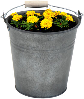 Mega Collections Plantenpot/bloempot emmer Eddy - zink - vintage antraciet - D18 X H18 cm