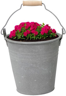 Mega Collections Plantenpot/bloempot emmer Eddy - zink - zilver - D18 X H18 cm