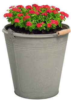 Mega Collections Plantenpot/bloempot emmer Eddy - zink - zilver - D30 X H29 cm