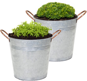 Mega Collections Plantenpot/bloempot emmer Jean - 2x - zink - zilver - D30 X H28 cm
