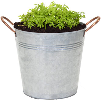 Mega Collections Plantenpot/bloempot emmer Jean - zink - zilver - D20 X H17 cm