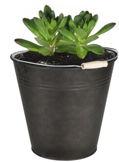 Mega Collections Plantenpot/bloempot emmer voor buiten - zink - zwart - D30 x H29 cm