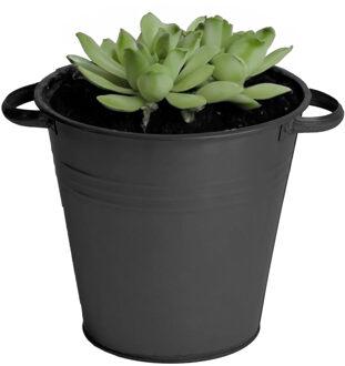 Mega Collections plantenpot/bloempot Farmer - zink - zwart - D26 X H24 cm - IJzeren emmer / teil