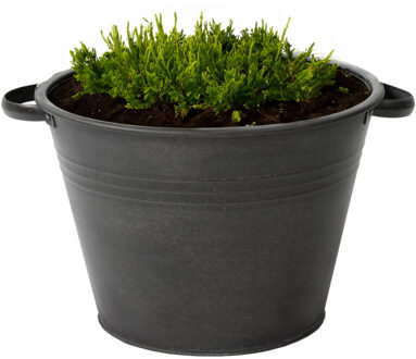 Mega Collections plantenpot/bloempot Farmer - zink - zwart - D40 X H29 cm