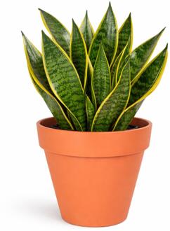 Mega Collections Plantenpot / bloempot - kunststof - oranje - binnen/buiten - D29 x H28 cm