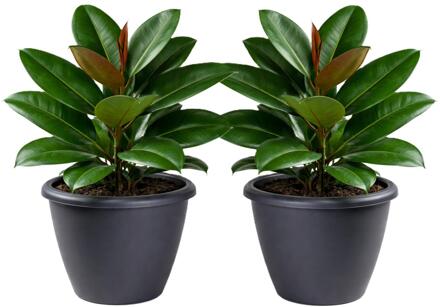 Mega Collections Plantenpot / bloempot Lima - 2x - kunststof - antraciet - buiten - D40 x H32 cm