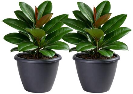 Mega Collections Plantenpot / bloempot Lima - 2x - kunststof - antraciet - buiten - D50 x H40 cm