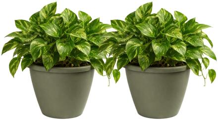 Mega Collections Plantenpot / bloempot Lima - 2x - kunststof - olijf groen - buiten - D50 x H40 cm