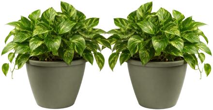 Mega Collections Plantenpot / bloempot Lima - 2x - kunststof - olijfgroen - buiten - D40 x H32 cm