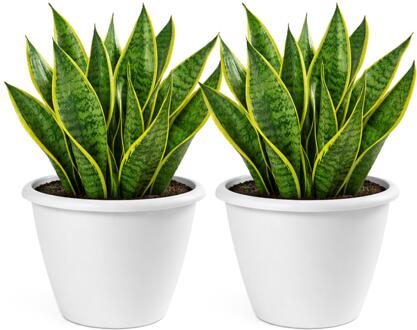 Mega Collections Plantenpot / bloempot Lima - 2x - kunststof - wit - buiten - D40 x H32 cm