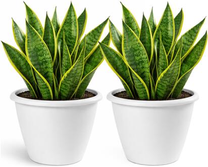 Mega Collections Plantenpot / bloempot Lima - 2x - kunststof - wit - buiten - D50 x H40 cm