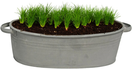 Mega Collections Plantenpot/bloempot teil Farmer - ovaal - zink - donkergrijs - L25 x D18 X H11 cm