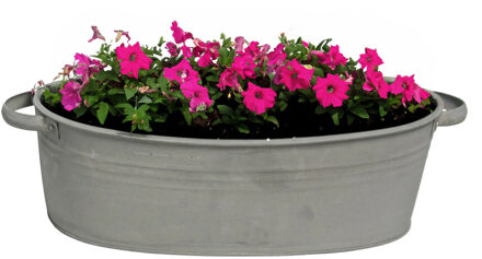 Mega Collections Plantenpot/bloempot teil Farmer - ovaal - zink - donkergrijs - L29 x D21 X H12.5 cm