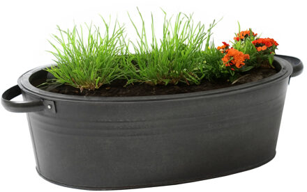 Mega Collections Plantenpot/bloempot teil Farmer - ovaal - zink - zwart - L29 x D21 X H12.5 cm