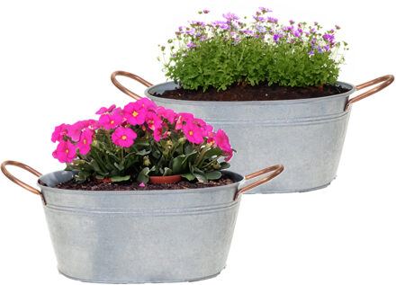 Mega Collections Plantenpot/bloempot teil Jean - 2x - ovaal - zink - zilver - L24 x D15 X H11 cm