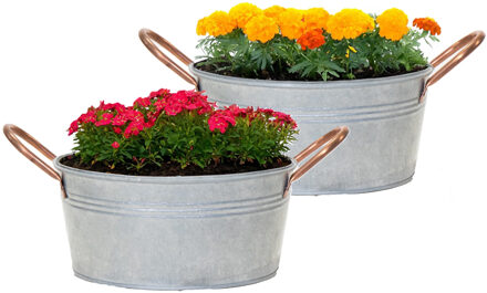 Mega Collections Plantenpot/bloempot teil Jean - 2x - voor buiten - zink - zilver - D27 X H13 cm