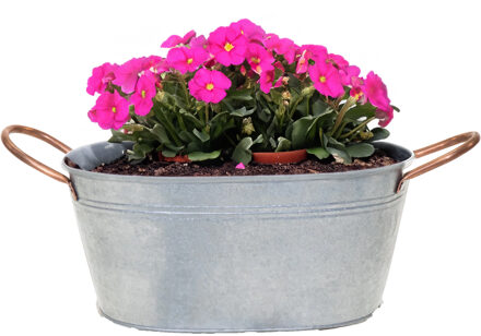 Mega Collections Plantenpot/bloempot teil Jean - ovaal - zink - zilver - L24 x D15 X H11 cm