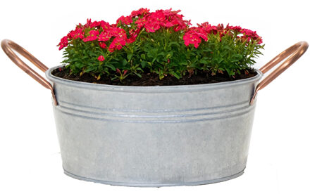 Mega Collections Plantenpot/bloempot teil Jean - voor buiten - zink - zilver - D22 X H10 cm