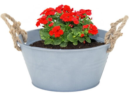 Mega Collections Plantenpot/bloempot teil Old Rope - rond - zink - zilver - D23 X H11 cm