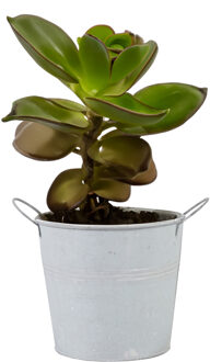 Mega Collections Plantenpot/bloempot - zink - lichtgrijs - D18 x H16 cm - Plantenpotten