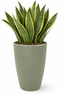 Mega Collections Plantenpot - kunststof - olijf groen - D45 cm