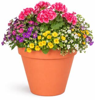 Mega Collections Plantenpot - kunststof - oranje - D26 cm