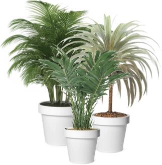 Mega Collections Plantenpotten bloempotten set - 3x stuks - kunststof - wit - Tuin - Diameters 30-35-40 cm