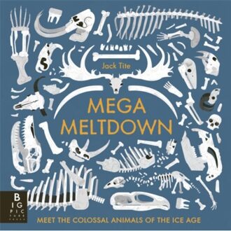 Mega Meltdown - Jack Tite